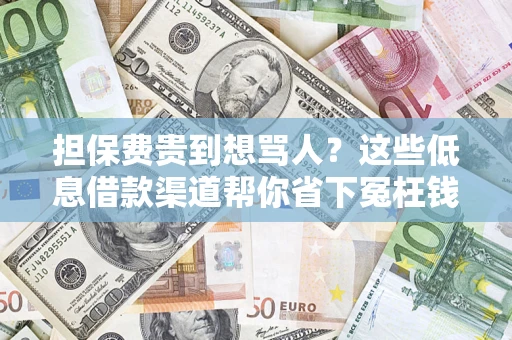 济南担保费贵到想骂人？这些低息借款渠道帮你省下冤枉钱
