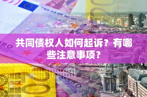 济南共同债权人如何起诉？有哪些注意事项？